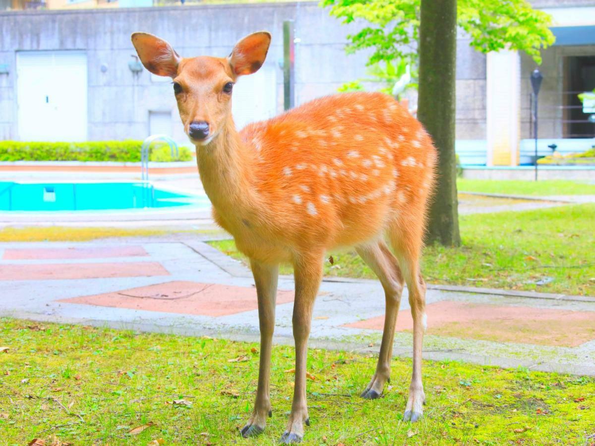 Reyzenit Kinosaki Suite Villa Toyooka  Exterior photo